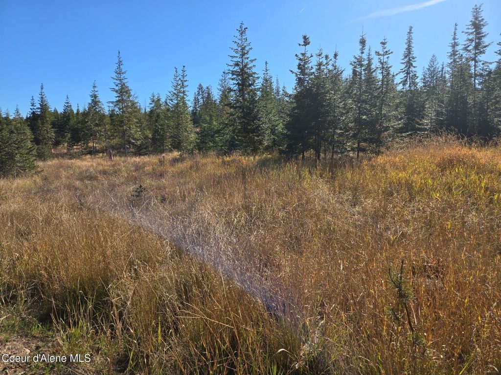 NKA LOT 1 Julian Ln, Fernwood, ID 83830 photo 5