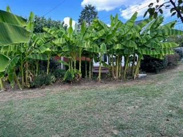 42 Mockingbird Valley Road, Winchester, KY 40391