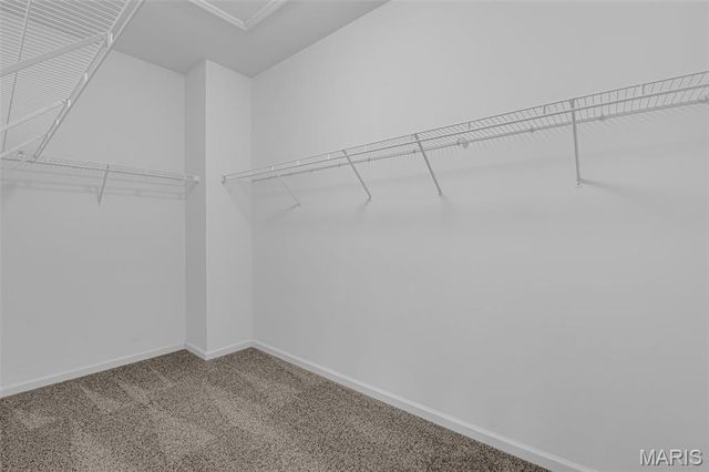 119 Courtfield Drive, O'fallon, MO 63366