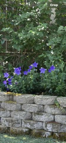 8328 Canyon Oak Dr, Citrus Heights, CA 95610