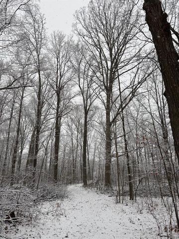 5245 Fleming Road, Fowlerville, MI 48836