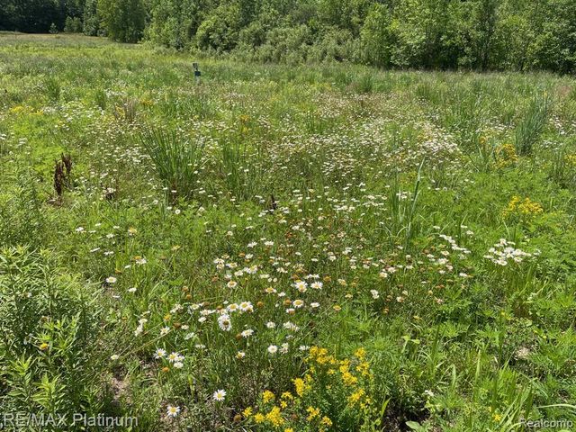 5245 Fleming Road, Fowlerville, MI 48836