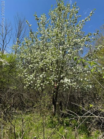 5245 Fleming Road, Fowlerville, MI 48836