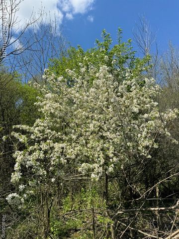 5245 Fleming Road, Fowlerville, MI 48836