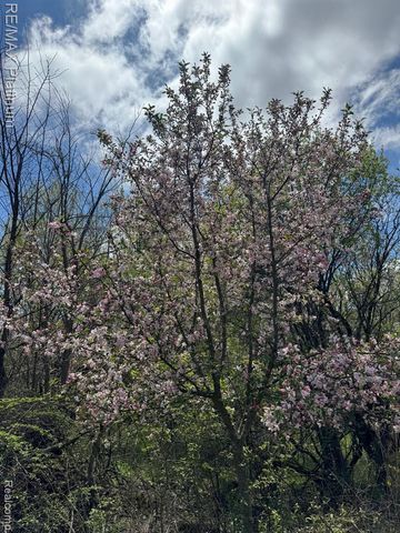 5245 Fleming Road, Fowlerville, MI 48836