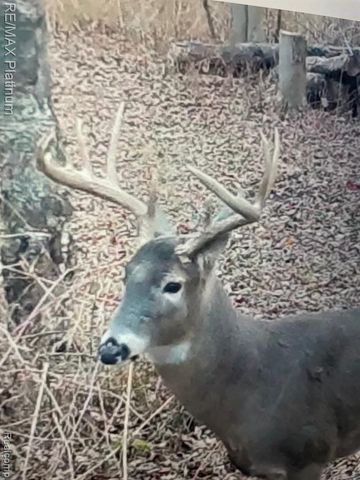 5245 Fleming Road, Fowlerville, MI 48836