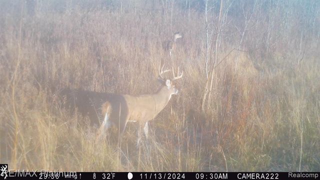 5245 Fleming Road, Fowlerville, MI 48836