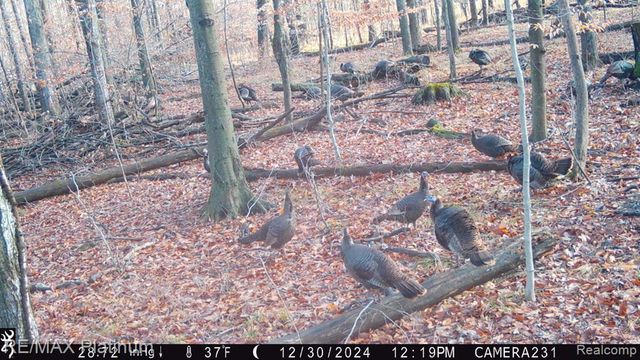 5245 Fleming Road, Fowlerville, MI 48836