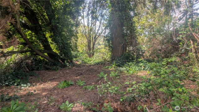 5263 21St Avenue SW, Seattle, WA 98106