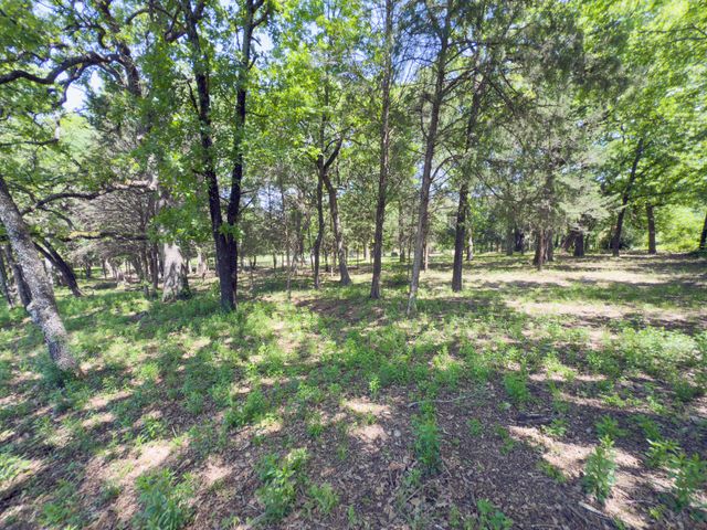 125 Harrell Street, Gun Barrel City, TX 75156