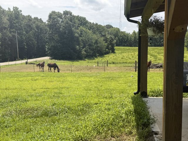 181 Hayes Ridge Rd, Indian Mound, TN 37079