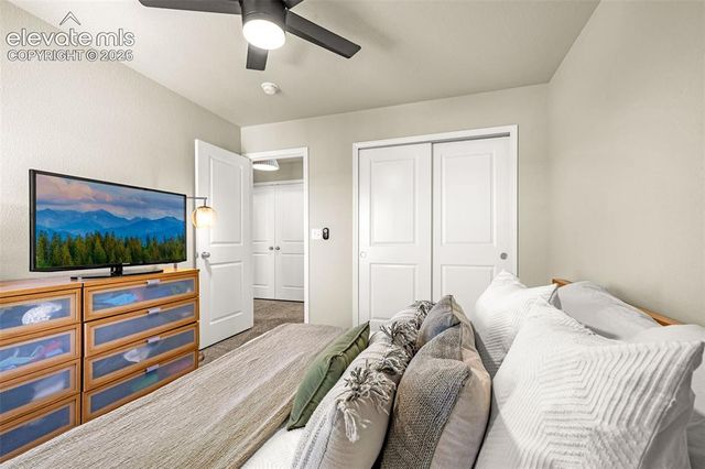 4168 Samaritan Loop, Colorado Springs, CO 80916