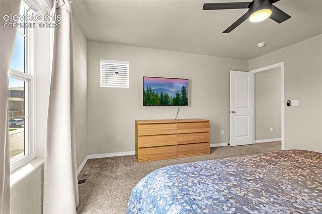 4168 Samaritan Loop, Colorado Springs, CO 80916