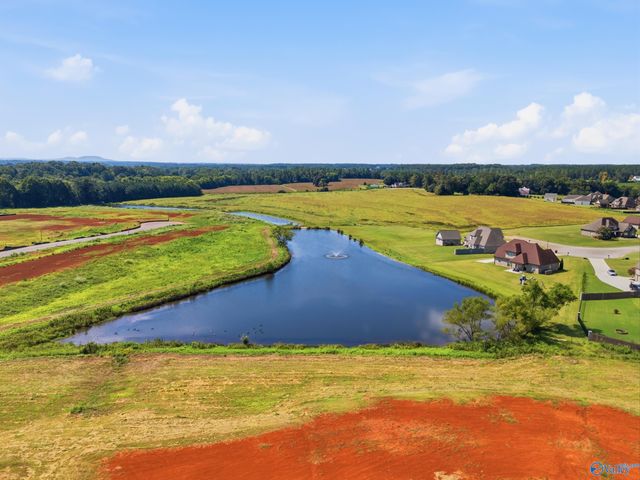 29241 Carnaby Lane, Toney, AL 35773
