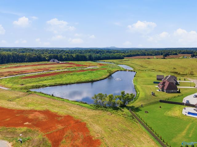 29241 Carnaby Lane, Toney, AL 35773