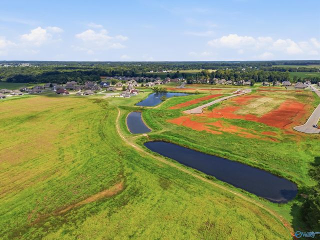 29241 Carnaby Lane, Toney, AL 35773