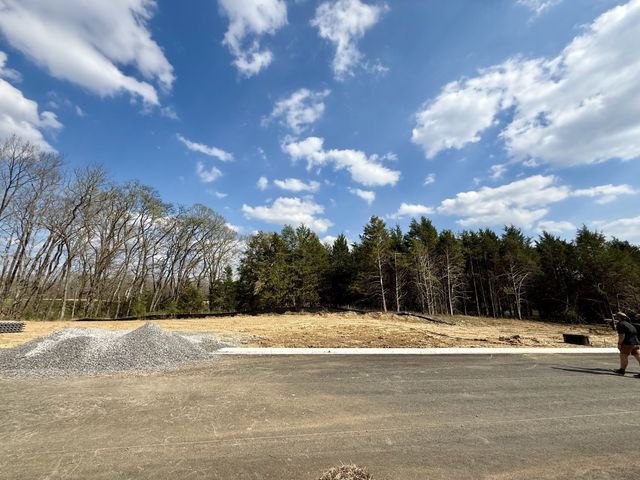521 Jenna Lane, Arrington, TN 37014