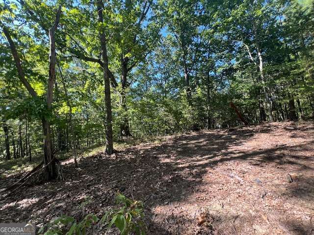 0 Vinson Mountain Road, Rockmart, GA 30153