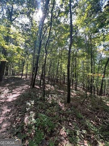 0 Vinson Mountain Road, Rockmart, GA 30153