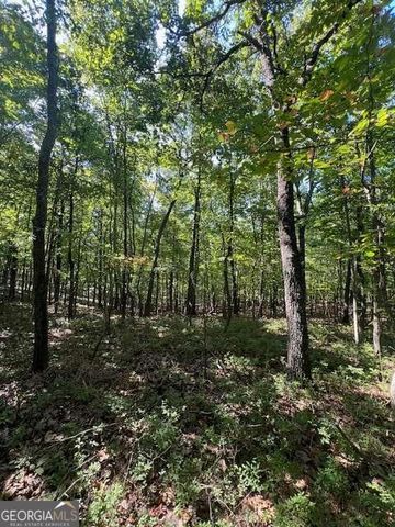 0 Vinson Mountain Road, Rockmart, GA 30153