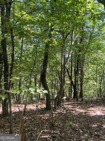 0 Vinson Mountain Road, Rockmart, GA 30153