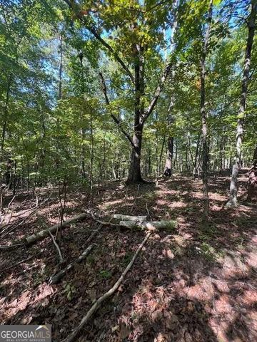 0 Vinson Mountain Road, Rockmart, GA 30153