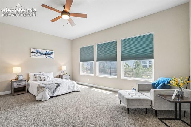 6687 Enclave Vista Loop, Colorado Springs, CO 80924