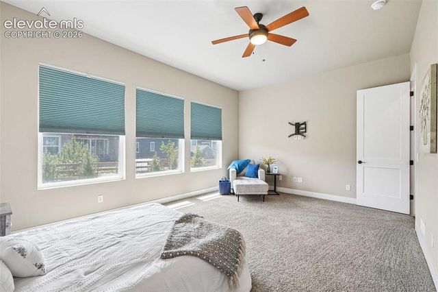 6687 Enclave Vista Loop, Colorado Springs, CO 80924