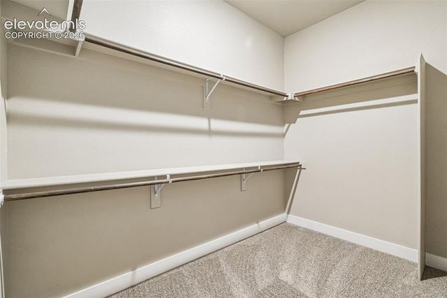 6687 Enclave Vista Loop, Colorado Springs, CO 80924