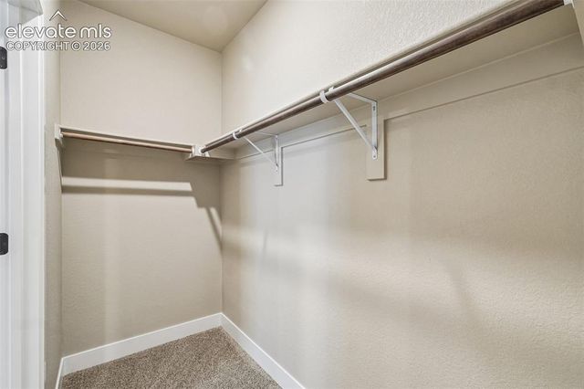 6687 Enclave Vista Loop, Colorado Springs, CO 80924