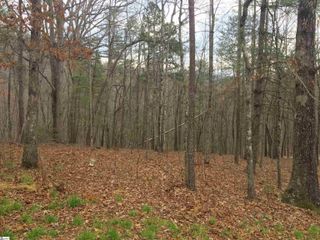 221 Ridge Haven Trail, Travelers Rest, SC 29690