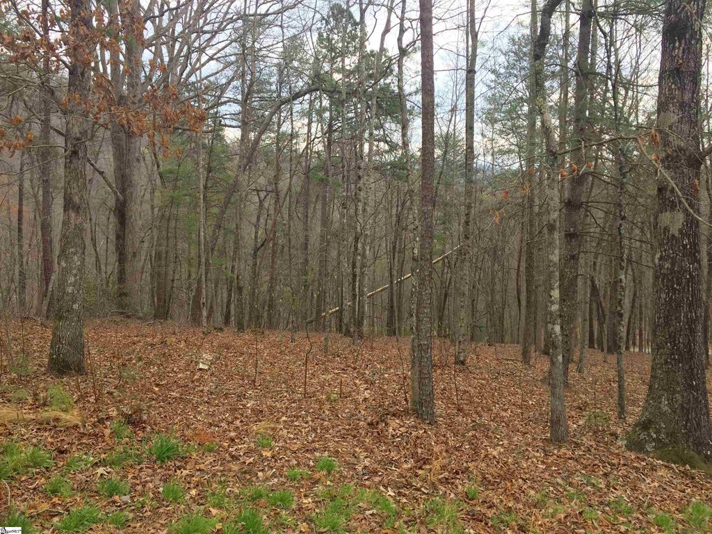 221 Ridge Haven Trail, Travelers Rest, SC 29690