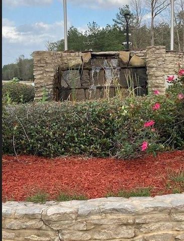 21438 Doru Drive, Cleveland, TX 77328