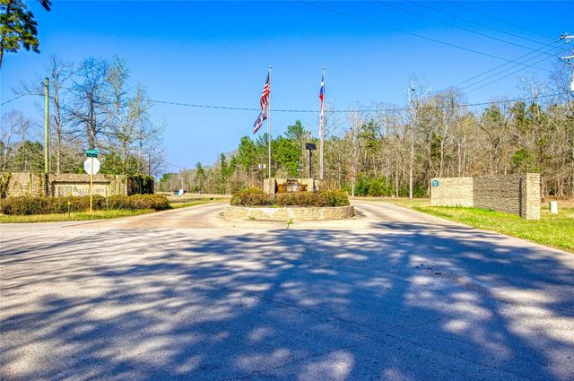 21438 Doru Drive, Cleveland, TX 77328