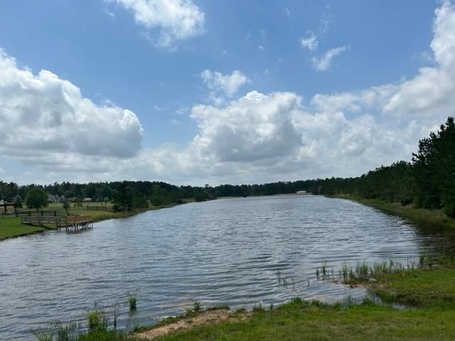 21438 Doru Drive, Cleveland, TX 77328