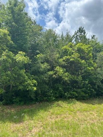 21438 Doru Drive, Cleveland, TX 77328