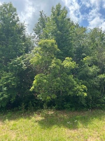 21438 Doru Drive, Cleveland, TX 77328