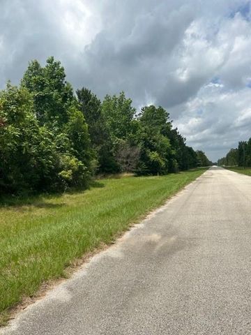 21438 Doru Drive, Cleveland, TX 77328