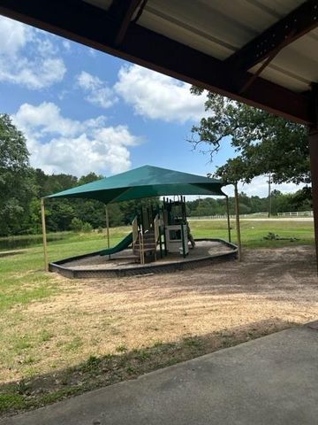 21438 Doru Drive, Cleveland, TX 77328