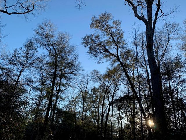 21438 Doru Drive, Cleveland, TX 77328