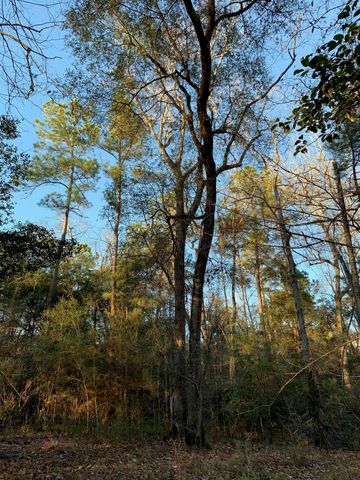 21438 Doru Drive, Cleveland, TX 77328