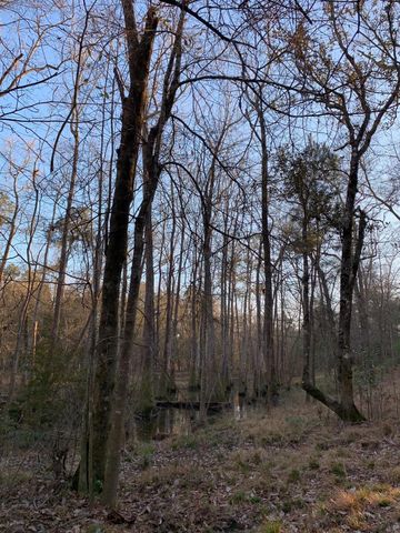 21438 Doru Drive, Cleveland, TX 77328