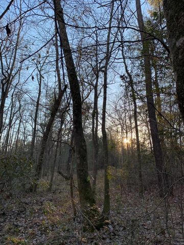 21438 Doru Drive, Cleveland, TX 77328