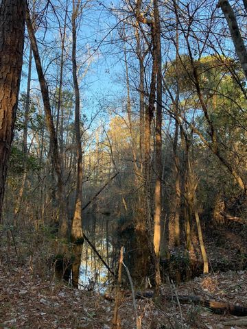 21438 Doru Drive, Cleveland, TX 77328