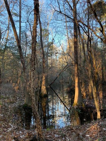 21438 Doru Drive, Cleveland, TX 77328