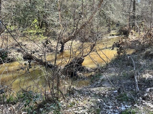 21438 Doru Drive, Cleveland, TX 77328