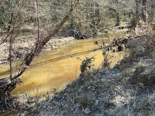 21438 Doru Drive, Cleveland, TX 77328