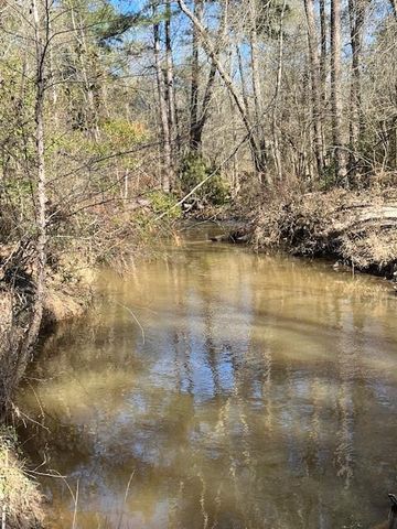 21438 Doru Drive, Cleveland, TX 77328