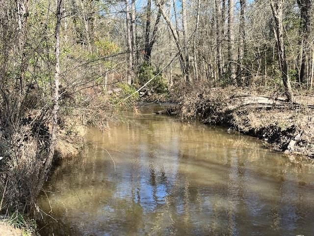 21438 Doru Drive, Cleveland, TX 77328