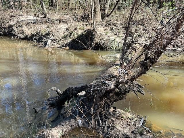 21438 Doru Drive, Cleveland, TX 77328